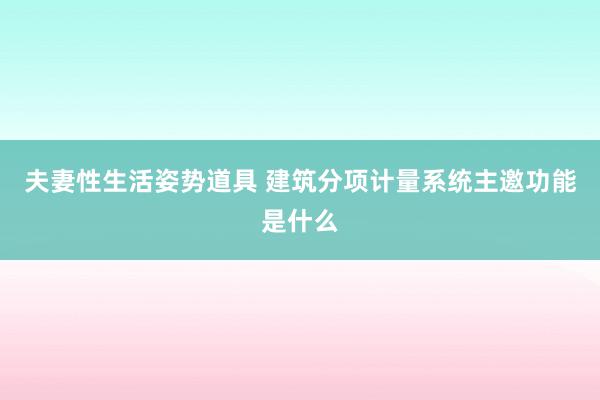 夫妻性生活姿势道具 建筑分项计量系统主邀功能是什么