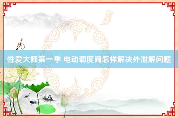 性爱大师第一季 电动调度阀怎样解决外泄解问题