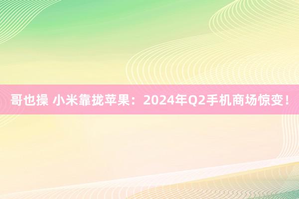 哥也操 小米靠拢苹果：2024年Q2手机商场惊变！