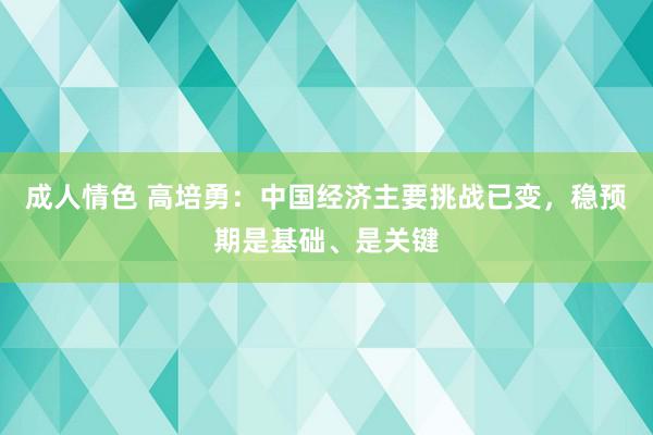 成人情色 高培勇：中国经济主要挑战已变，稳预期是基础、是关键