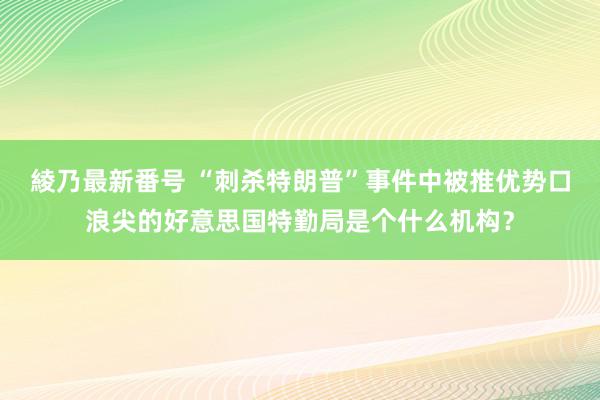 綾乃最新番号 “刺杀特朗普”事件中被推优势口浪尖的好意思国特勤局是个什么机构？