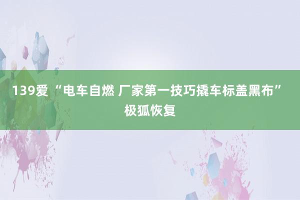 139爱 “电车自燃 厂家第一技巧撬车标盖黑布” 极狐恢复