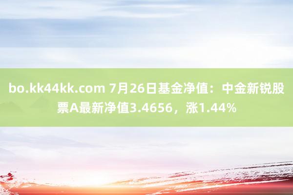 bo.kk44kk.com 7月26日基金净值：中金新锐股票A最新净值3.4656，涨1.44%