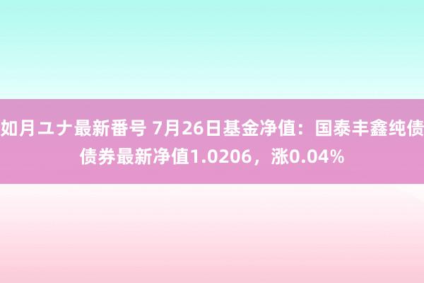 如月ユナ最新番号 7月26日基金净值：国泰丰鑫纯债债券最新净值1.0206，涨0.04%