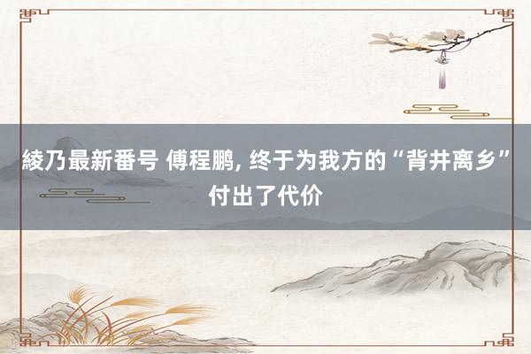 綾乃最新番号 傅程鹏, 终于为我方的“背井离乡”付出了代价