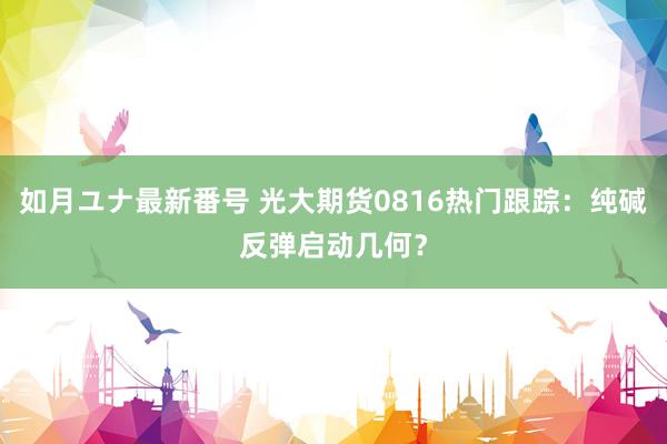 如月ユナ最新番号 光大期货0816热门跟踪：纯碱反弹启动几何？