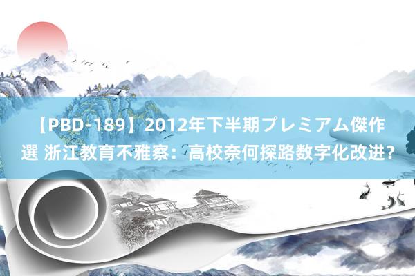 【PBD-189】2012年下半期プレミアム傑作選 浙江教育不雅察：高校奈何探路数字化改进？