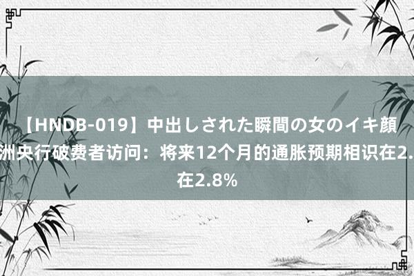 【HNDB-019】中出しされた瞬間の女のイキ顔 欧洲央行破费者访问：将来12个月的通胀预期相识在2.8%