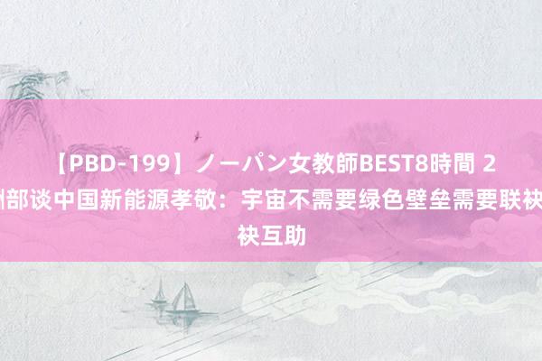 【PBD-199】ノーパン女教師BEST8時間 2 应酬部谈中国新能源孝敬：宇宙不需要绿色壁垒需要联袂互助