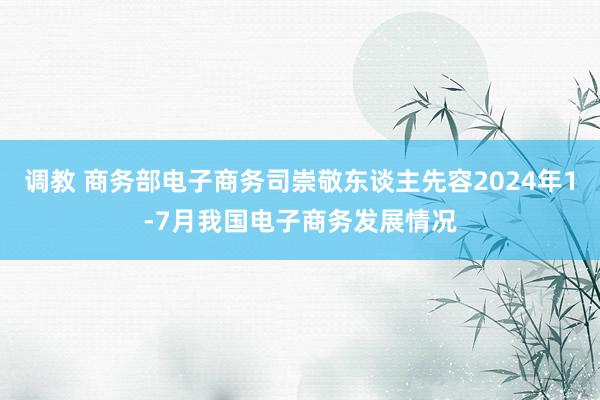 调教 商务部电子商务司崇敬东谈主先容2024年1-7月我国电子商务发展情况