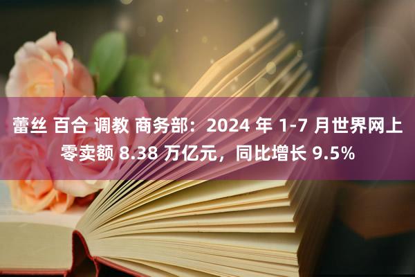 蕾丝 百合 调教 商务部：2024 年 1-7 月世界网上零卖额 8.38 万亿元，同比增长 9.5%