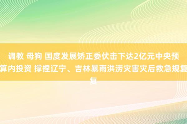 调教 母狗 国度发展矫正委伏击下达2亿元中央预算内投资 撑捏辽宁、吉林暴雨洪涝灾害灾后救急规复