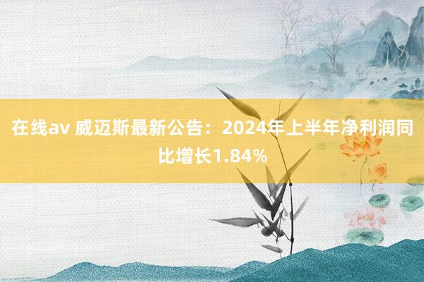 在线av 威迈斯最新公告：2024年上半年净利润同比增长1.84%