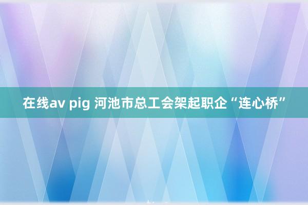 在线av pig 河池市总工会架起职企“连心桥”